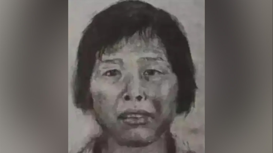 媒体：人贩子“梅姨”真实姓名首曝光