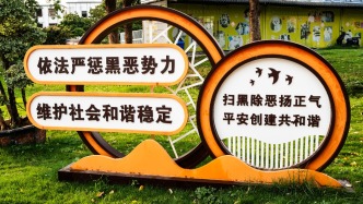 司法部：立足职责扎实推进深化扫黑除恶专项斗争