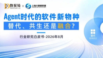 谁在杀死SaaS？
