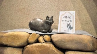 观复博物馆佛像送检引关注，海口方面：调查有进展，预计几天后发布 