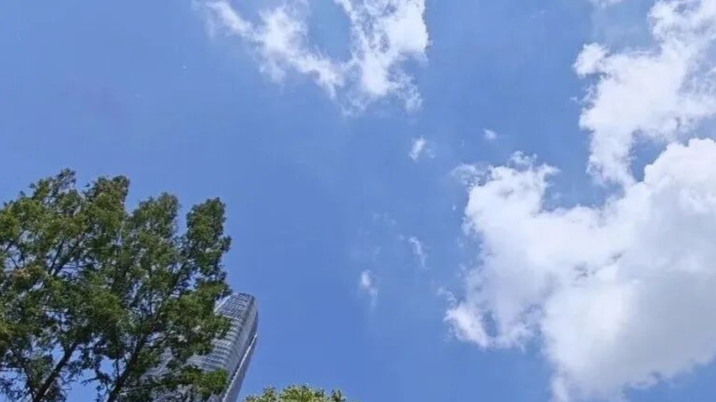 台风“白海豚”将趋向浙江中南部，对上海天气有何影响？
