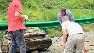 防在关键处，安在细节里：安康市汉滨区打出山区防汛减灾“组合拳”