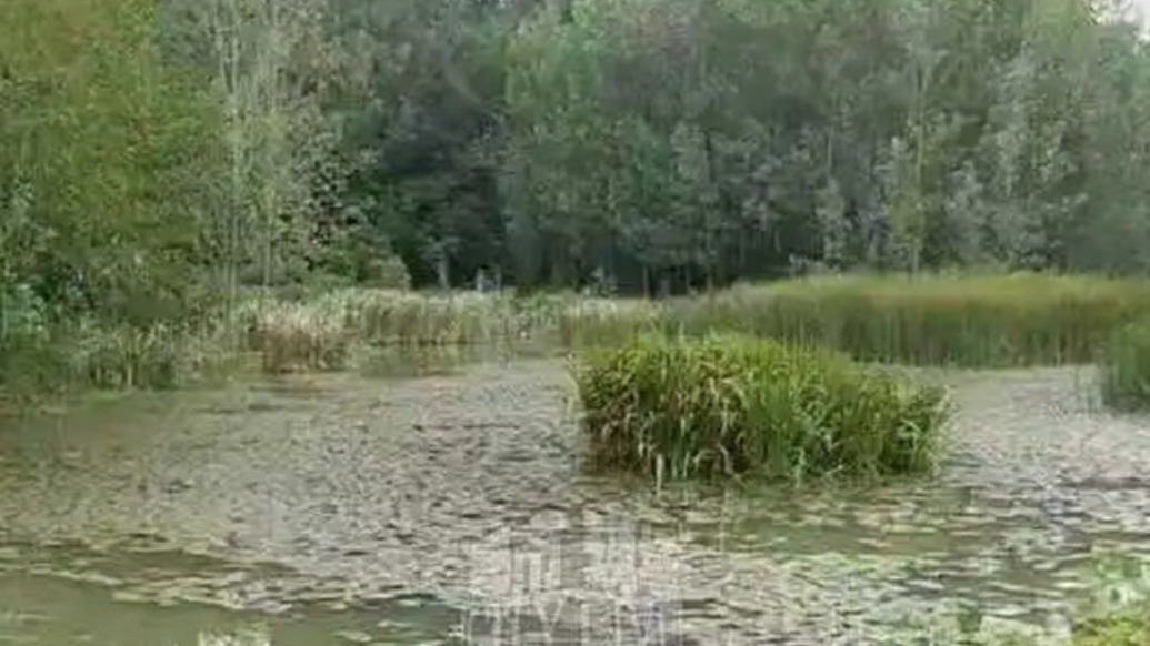 湖北老河口一灌溉水坝被村民承包隔成鱼塘，当地成立调查组