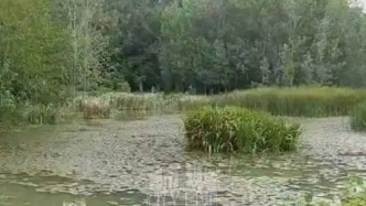 湖北老河口一灌溉水坝被村民承包隔成鱼塘，当地成立调查组