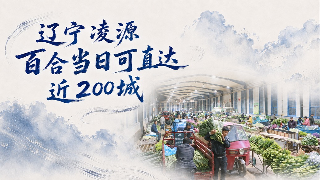 单项冠军县，何以扛打｜辽宁凌源百合最快当日可直达近200城
