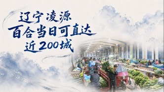 单项冠军县，何以扛打｜辽宁凌源百合最快当日可直达近200城