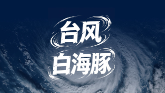 三问“白海豚”：为何如此“长寿”？降雨量咋这么大？余威怎么防？