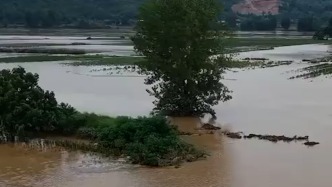 河南平顶山一民堤发生溃口，镇政府工作人员：已经稳住局面，正在善后
