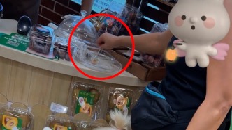 女子用试吃叉反复给三条狗喂水果，门店：公司已介入处理
