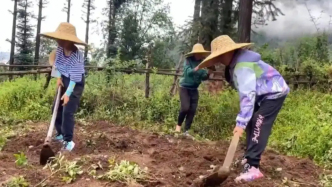 媒体：“吃苦夏令营”不是挫折教育的“特效药”