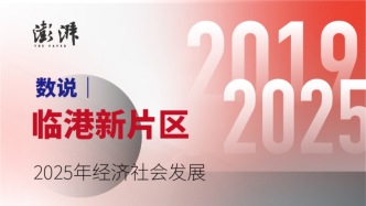 数说｜临港新片区2025年经济社会发展