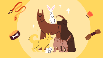 从一袋猫粮到百亿产业，宠物经济正在改变哪些县城