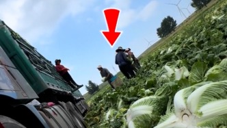 河北张家口市场监管局回应“博主曝光大白菜装车前蘸甲醛保鲜”：关注到相关情况，多部门已展开调查