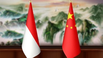 印度尼西亚总统普拉博沃会见王毅一行