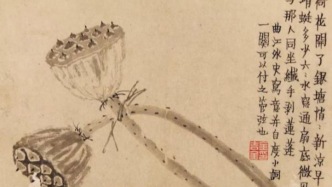 处暑读画：记与那人同坐，纤手剥莲蓬