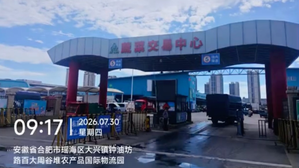 “甲醛白菜”流向引发关注,合肥市监局回应正在调查