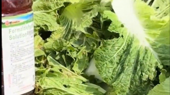 “甲醛白菜”被曝光后，张家口多个区县有奖征集蔬菜质量安全违法线索