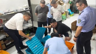 广东茂名电白区开展龟类养殖交易行业排查整治行动