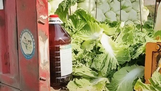 “甲醛白菜”屡禁不止：十余年间被多次曝光，甲醛为何仍未纳入蔬菜常规检测？
