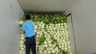 “甲醛白菜”背后：利润驱动与监管困局
