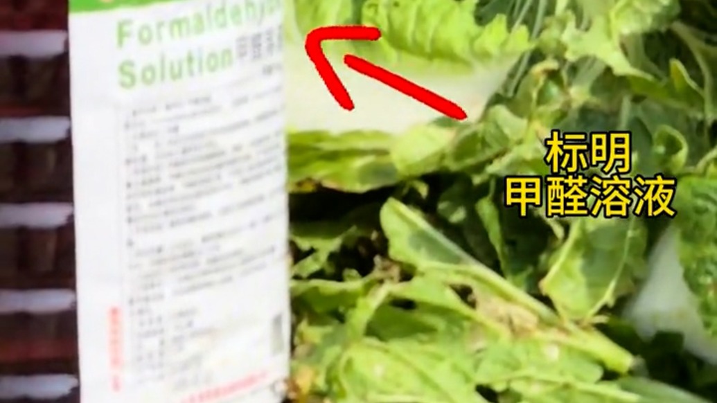 “甲醛白菜”背后①|多位农产品从业者自称违规系个别现象,有人铤而走险“说白了还是成本问题”