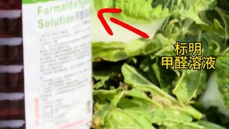“甲醛白菜”背后①｜多位农产品从业者自称违规系个别现象，有人铤而走险“说白了还是成本问题”