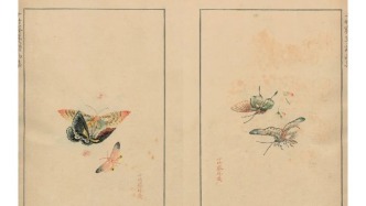 与鲁迅、郑振铎“流观”古人笺谱和博物图谱