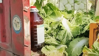 追问“甲醛白菜”：将甲醛纳入检测有无必要？在哪个环节发力更有效率？