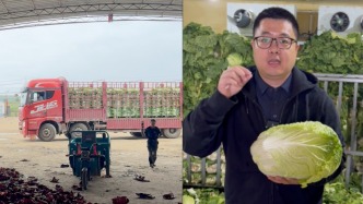 实地调查“甲醛白菜”背后生意经：收购商用甲醛省下打冷费，一车能省2万元