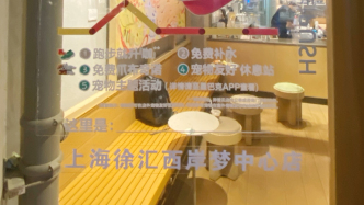 消费者被要求给携宠人士让座引争议，记者实探涉事星巴克门店