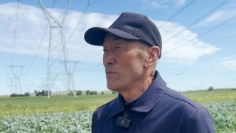 “甲醛白菜”事件后，康保县农村“网格员”在田间巡查
