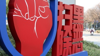 12件涉黑恶案件集中宣判，“市霸”“街霸”等被依法严惩
