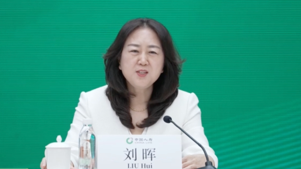 中国人寿副总裁谈险资投资:不以短期波动论得失,不以单项成败定成效