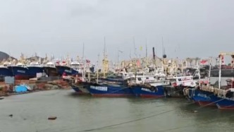 台风三度叩城，玉环人的极限迎战与生计重整