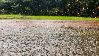 云南磨憨镇遭遇强降雨引发洪涝灾害，已组织1500余人救灾