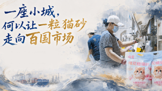单项冠军县，何以扛打丨一座小城，何以让一粒猫砂走向百国市场