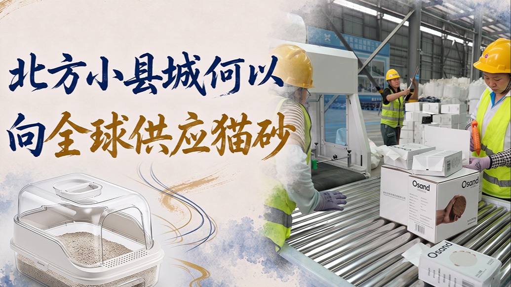单项冠军县，何以扛打丨北方小县城何以向全球供应猫砂