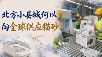 单项冠军县，何以扛打丨北方小县城何以向全球供应猫砂