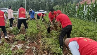 连续7年，志愿者上门帮助杨树朋烈士的父母抢收庄稼