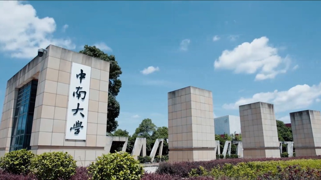中南大学通报6起学术不端问题处理结果