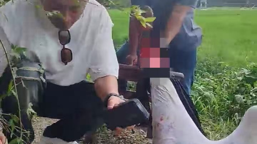 暖侬心|露营中听到“救命”,他冲进菜园按住老人飙血的腿