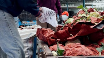 “甲醛保鲜”事发后，康保县当地村委主动监督菜商装车环节