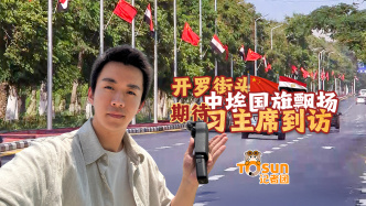 时政Vlog丨开罗街头中埃国旗飘扬 期待习主席到访