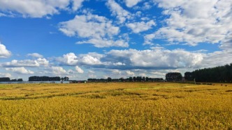 活力中国调研行｜为黑土地量身定制“高性能芯片”