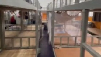 中新网评：让78名学生住1间宿舍，这是谁的点子？