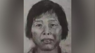 媒体：“梅姨”已被提起公诉