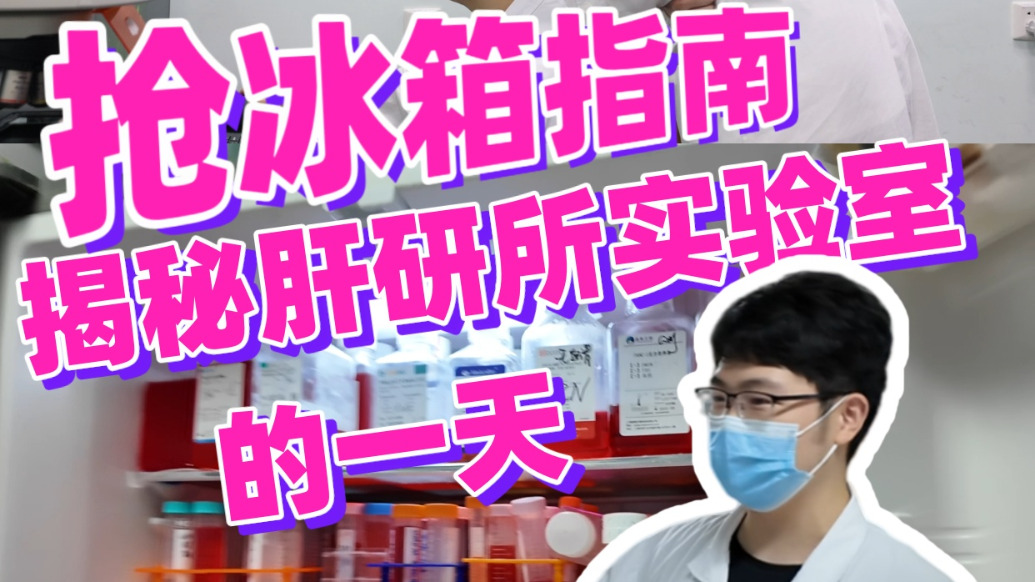 抢冰箱指南,揭密肝研所实验室的一天