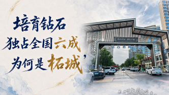 单项冠军县，何以扛打｜培育钻石独占全国六成，为何是柘城