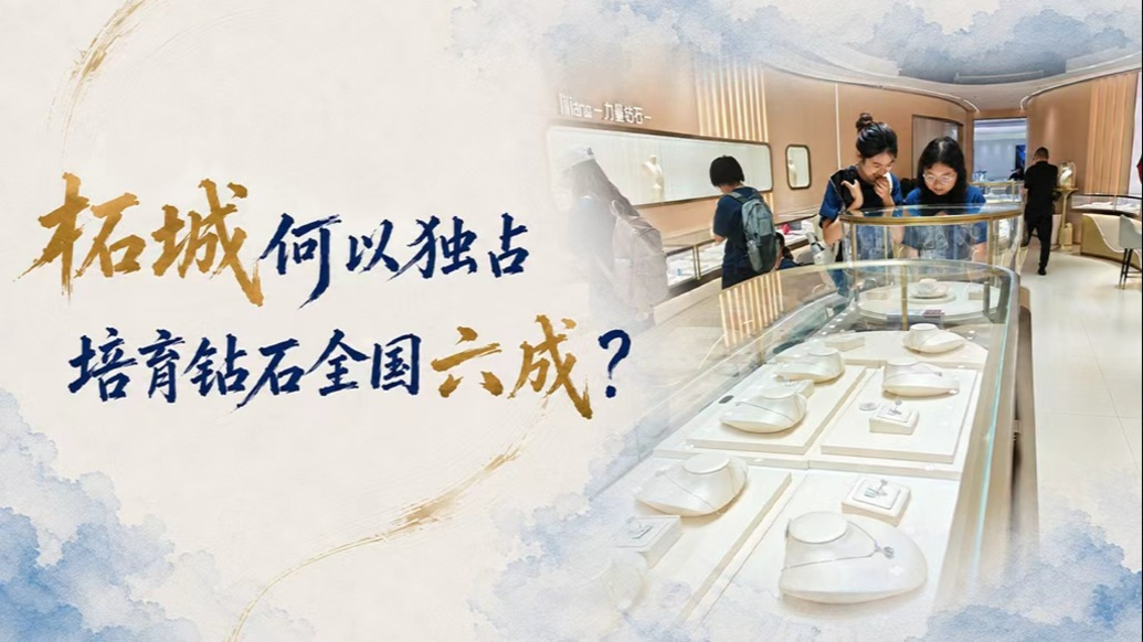 单项冠军县,何以扛打|柘城何以独占培育钻石全国六成