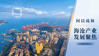 何以成林 海沧产业发展聚焦